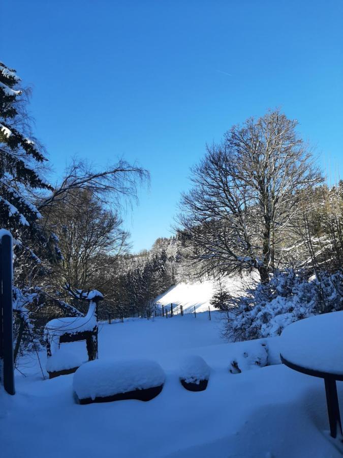 Skylo * Winterberg