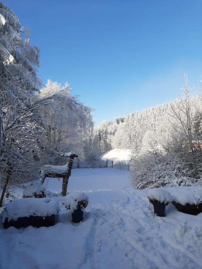 Villa Skylo Winterberg