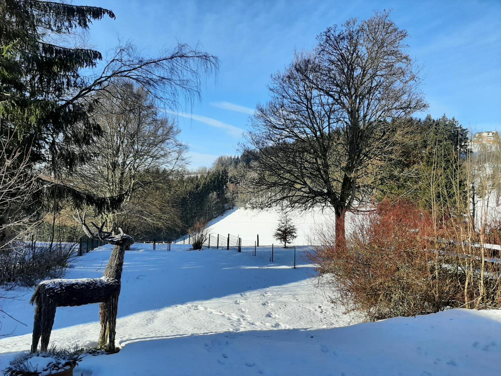 Skylo Winterberg